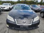 LEXUS ES 350 photo