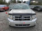 FORD ESCAPE XLT photo