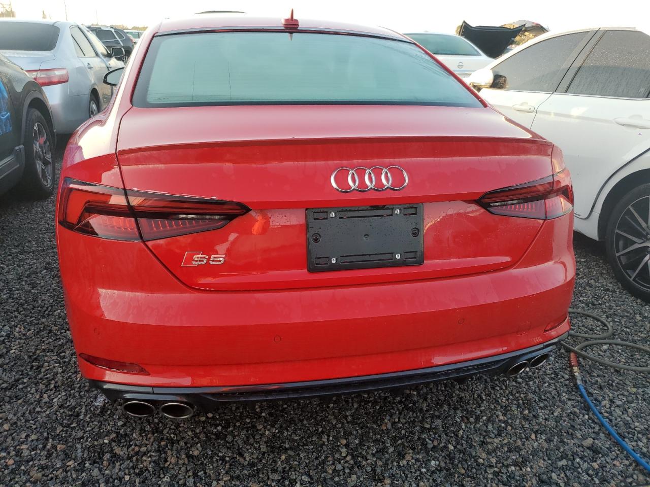 Lot #2985688598 2019 AUDI S5 PREMIUM