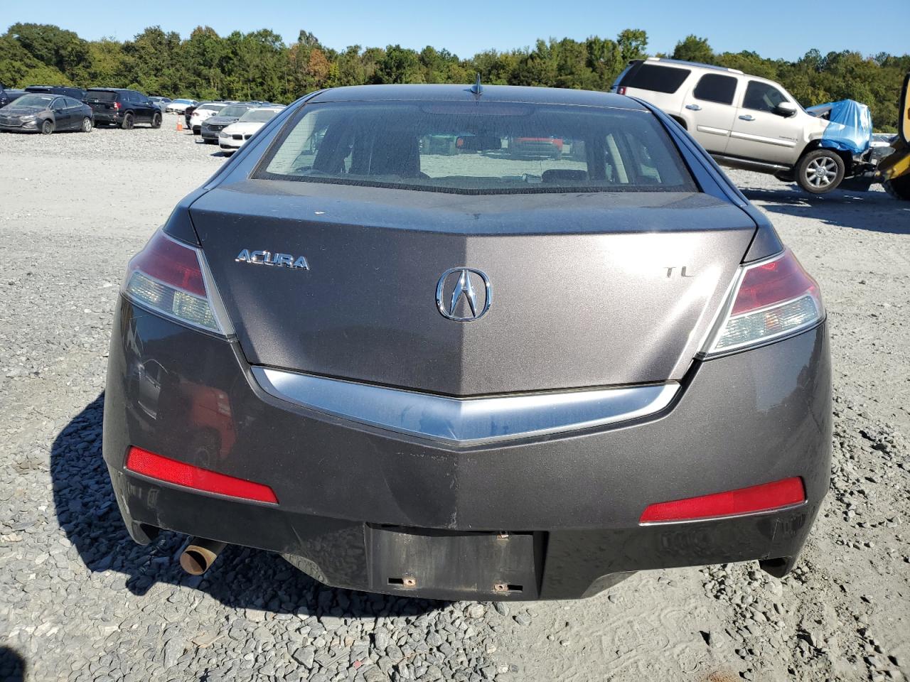 Lot #2908833933 2009 ACURA TL