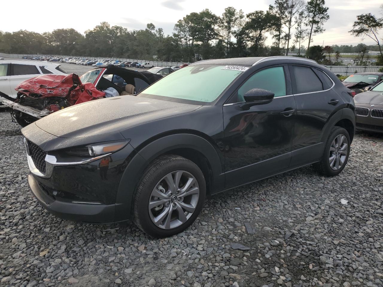 Lot #2970025005 2023 MAZDA CX-30