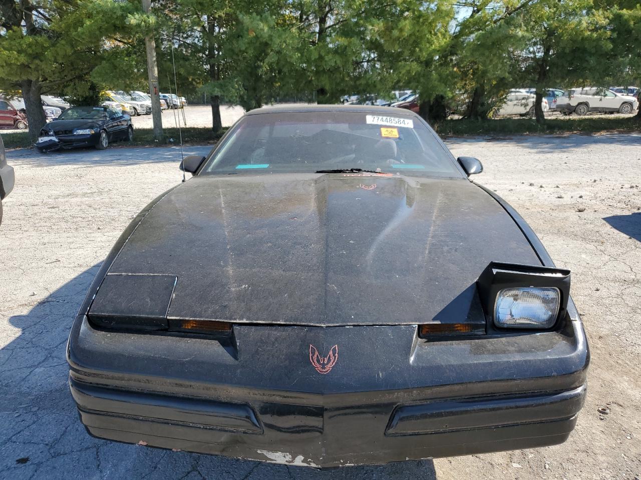 Lot #2926312559 1988 PONTIAC FIREBIRD