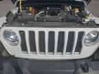 JEEP WRANGLER U photo