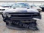 DODGE CHALLENGER photo