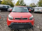 KIA SOUL + photo