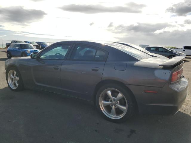 DODGE CHARGER R/ 2013 gray  gas 2C3CDXCT9DH595937 photo #3