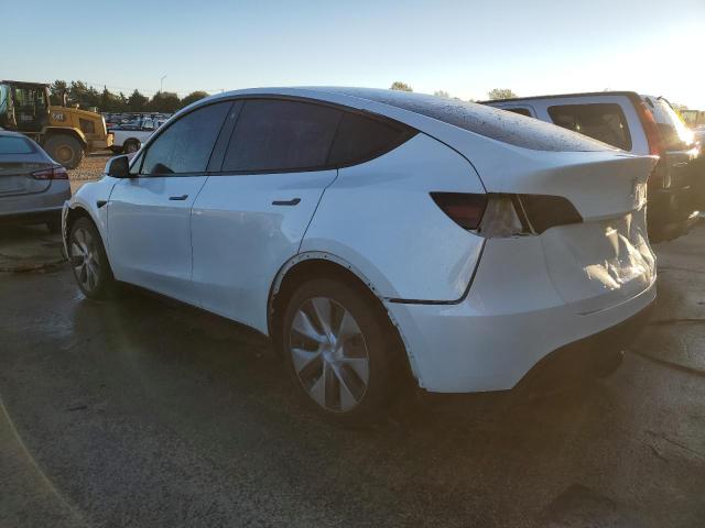 2023 TESLA MODEL Y - 7SAYGAEE0PF772926
