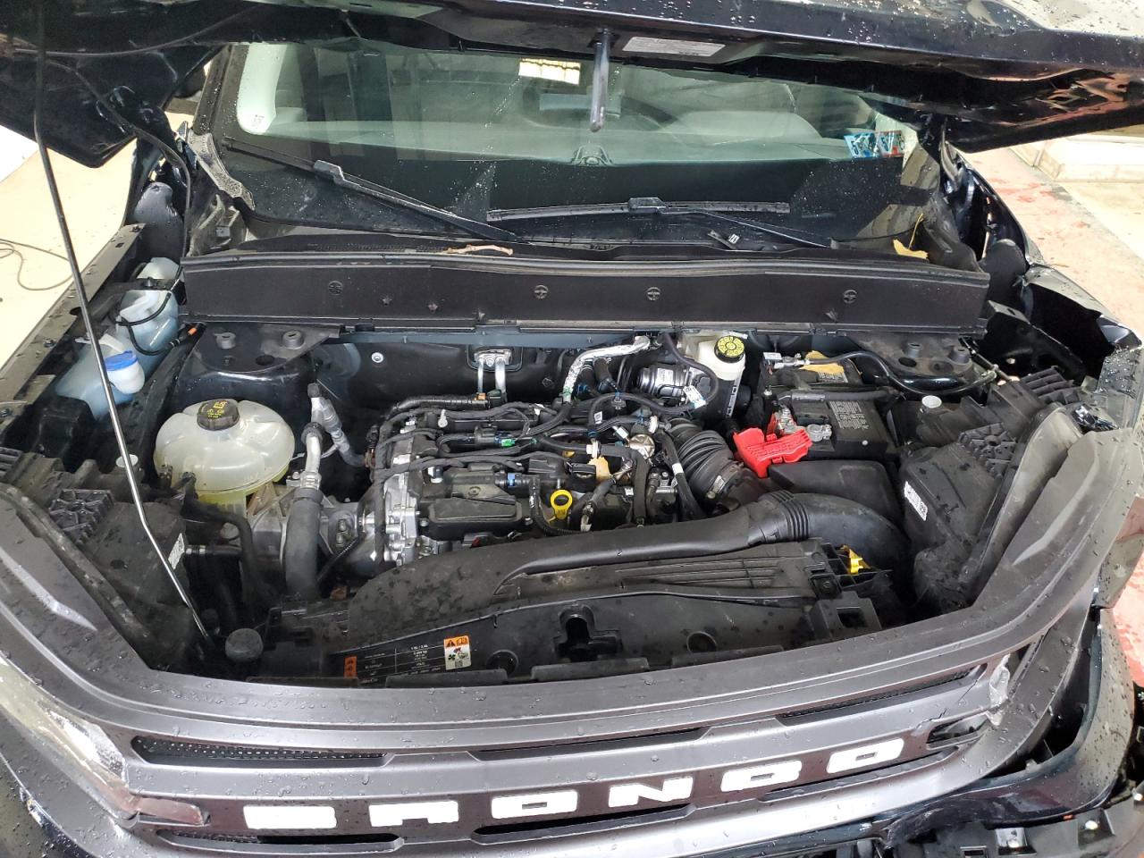 Lot #3302759362 2023 FORD BRONCO SPO