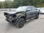 2021 TOYOTA TACOMA DOU - 3TMCZ5AN4MM382997