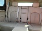 CADILLAC SRX PERFOR photo