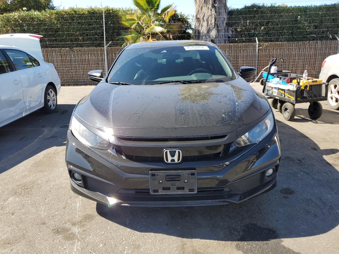 Lot #3030387493 2019 HONDA CIVIC SPOR