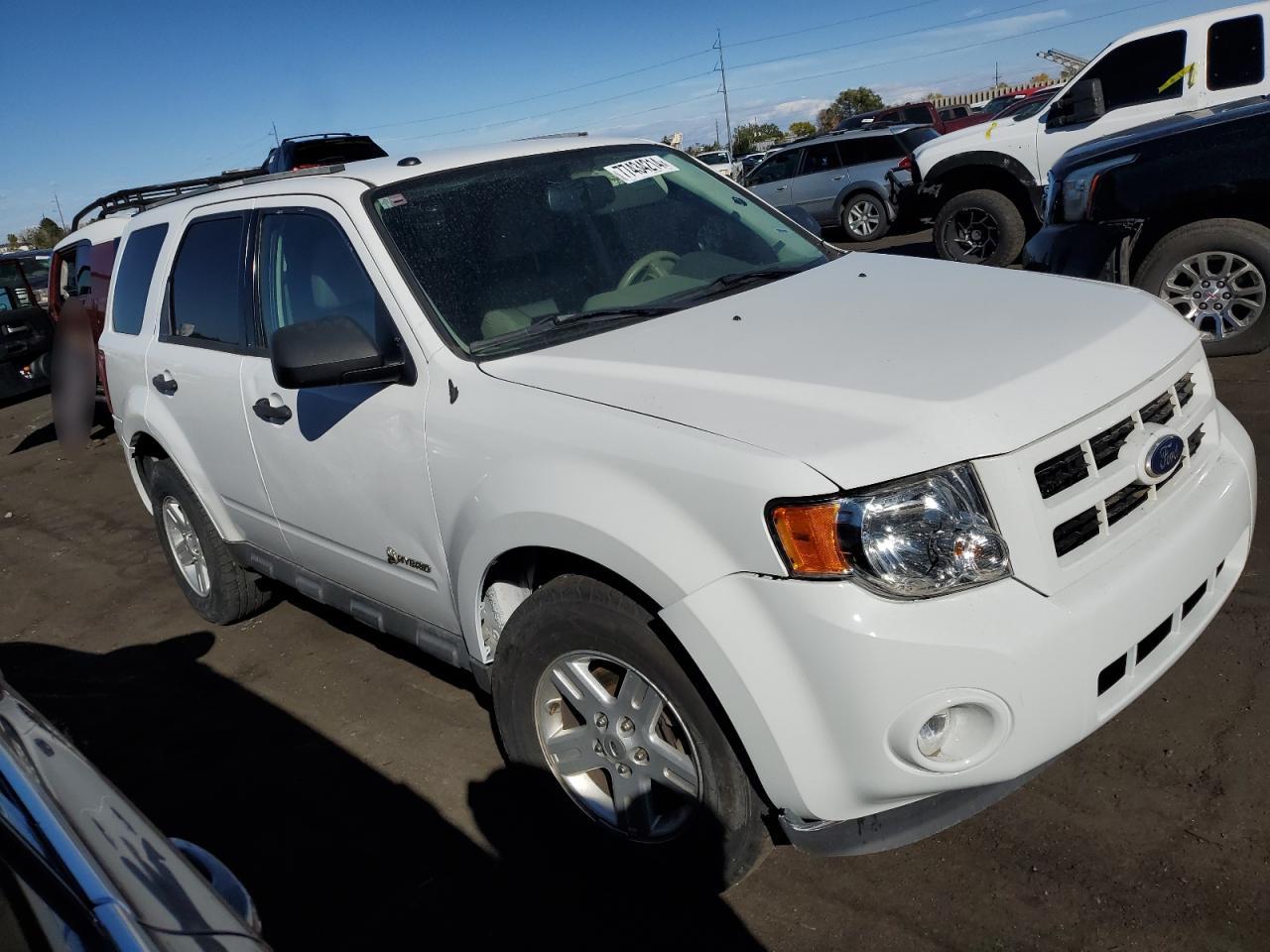 Lot #2977021567 2010 FORD ESCAPE HYB