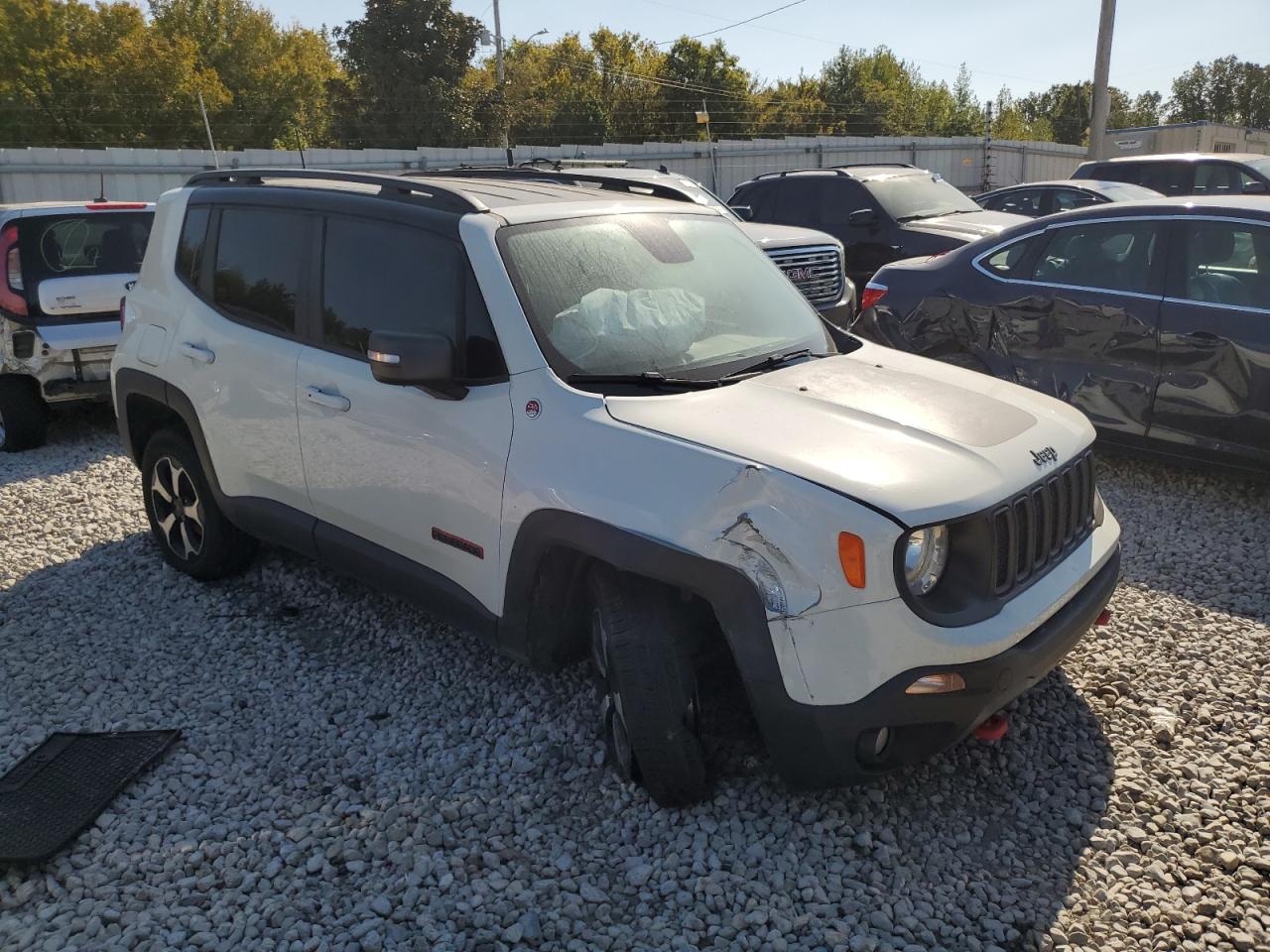 Lot #3025940945 2019 JEEP RENEGADE T