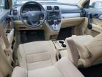 HONDA CR-V SE photo