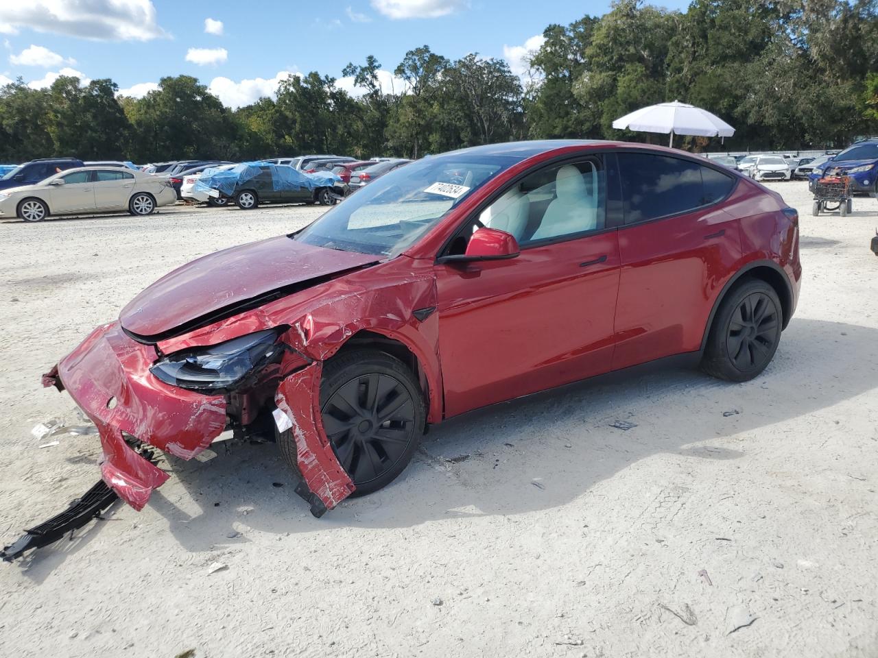 Lot #2986782236 2024 TESLA MODEL Y