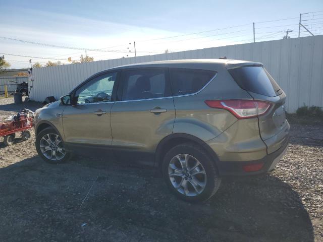 VIN 1FMCU9HXXDUD84385 2013 Ford Escape, Sel no.2