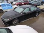 2019 LEXUS ES 350 - 58ABZ1B18KU023682