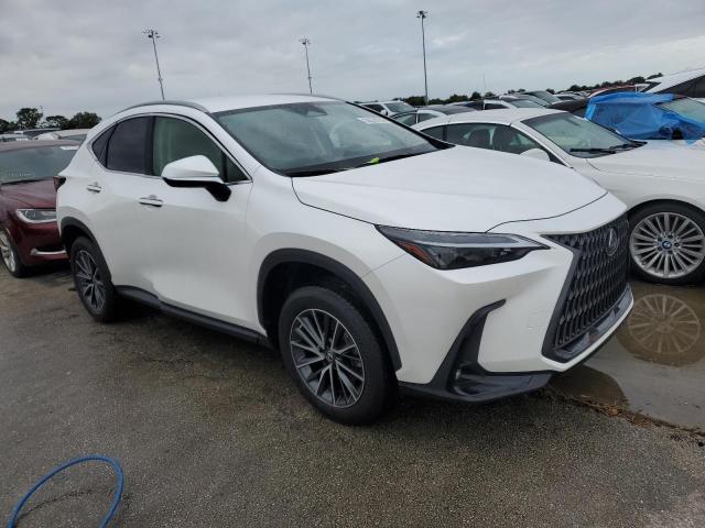 2023 LEXUS NX 250 JTJADCAZ5P2006346