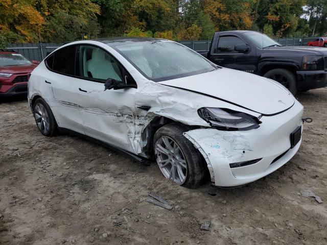 2020 TESLA MODEL Y - 5YJYGDEE4LF027654