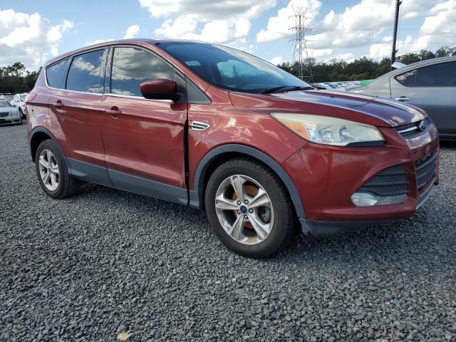 VIN 1FMCU0GX5EUE53532 2014 Ford Escape, SE no.4