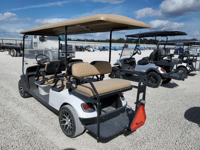 OTHER GOLF CART 2021 white   FLA112525 photo #4