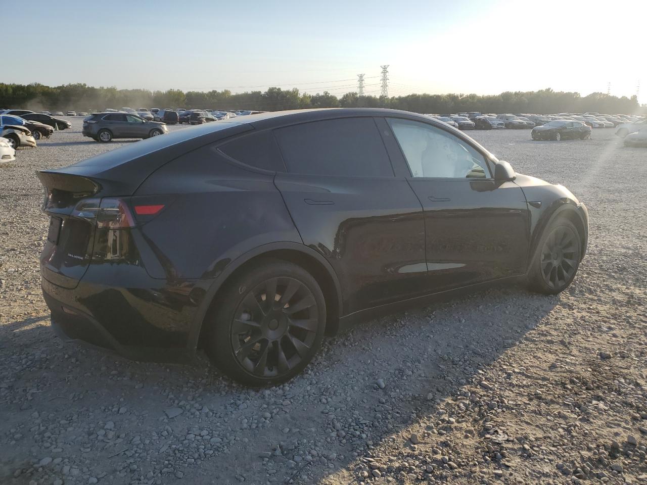 Lot #2990997187 2023 TESLA MODEL Y