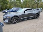 2019 FORD MUSTANG - 1FA6P8TH3K5177367