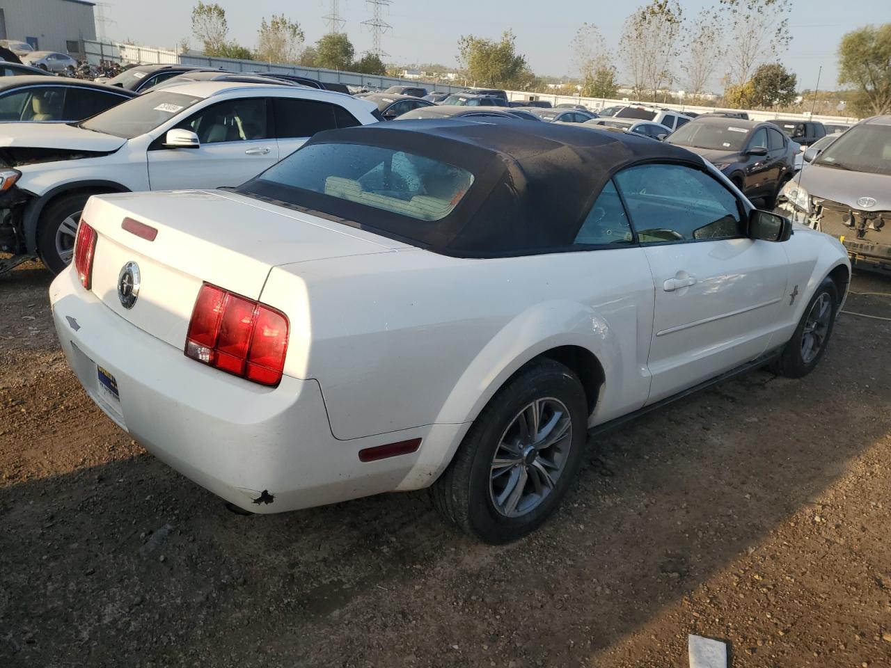 Lot #2962700068 2007 FORD MUSTANG