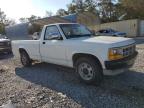 DODGE DAKOTA photo