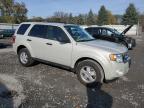 Lot #3028341796 2009 FORD ESCAPE XLT