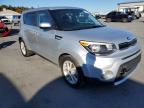 KIA SOUL + photo