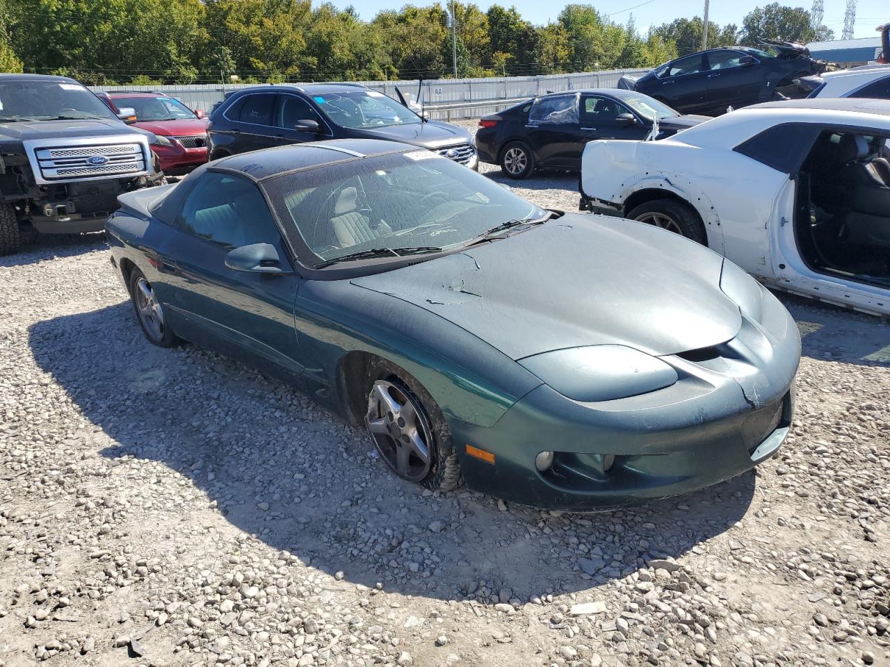 Lot #2880630617 1998 PONTIAC FIREBIRD