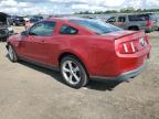 FORD MUSTANG GT photo