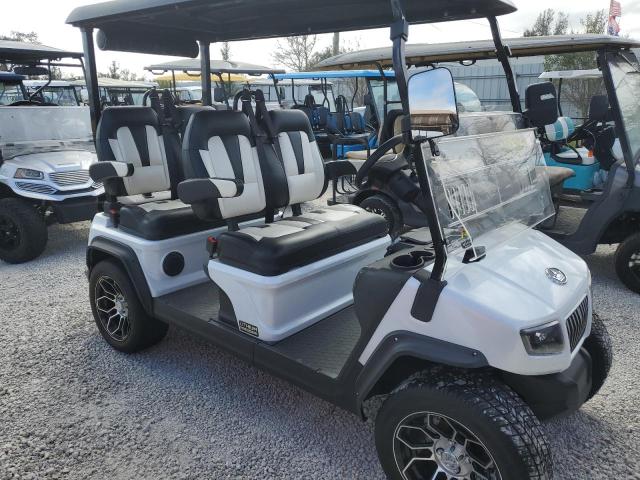 2023 ASPT GOLF CART #3025675462