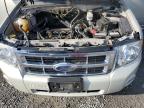 Lot #3028341796 2009 FORD ESCAPE XLT