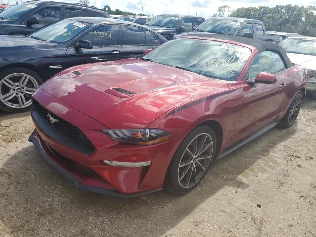 2019 FORD MUSTANG - 1FATP8UH0K5149902