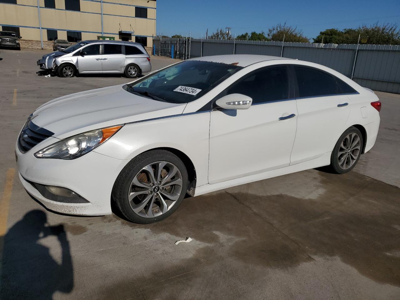 Lot #2970024884 2014 HYUNDAI SONATA SE