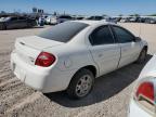 DODGE NEON SXT 1B3ES56C14D607054 photo