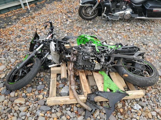 KAWASAKI EX500 H 2024 green  gas ML5EXGH11RDA12569 photo #4
