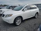 LEXUS RX 350 photo