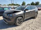 2022 JEEP COMPASS LI - 3C4NJDCB1NT193339