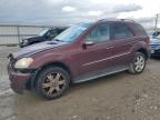 MERCEDES-BENZ ML 350 photo