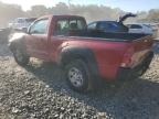 TOYOTA TACOMA photo