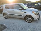 KIA SOUL + photo