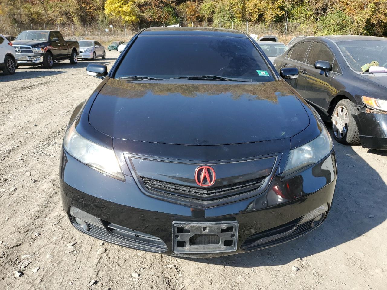 Lot #2955026842 2013 ACURA TL