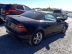 Lot #2938371709 2001 MERCEDES-BENZ SLK 320