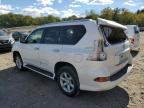 LEXUS GX 460 photo