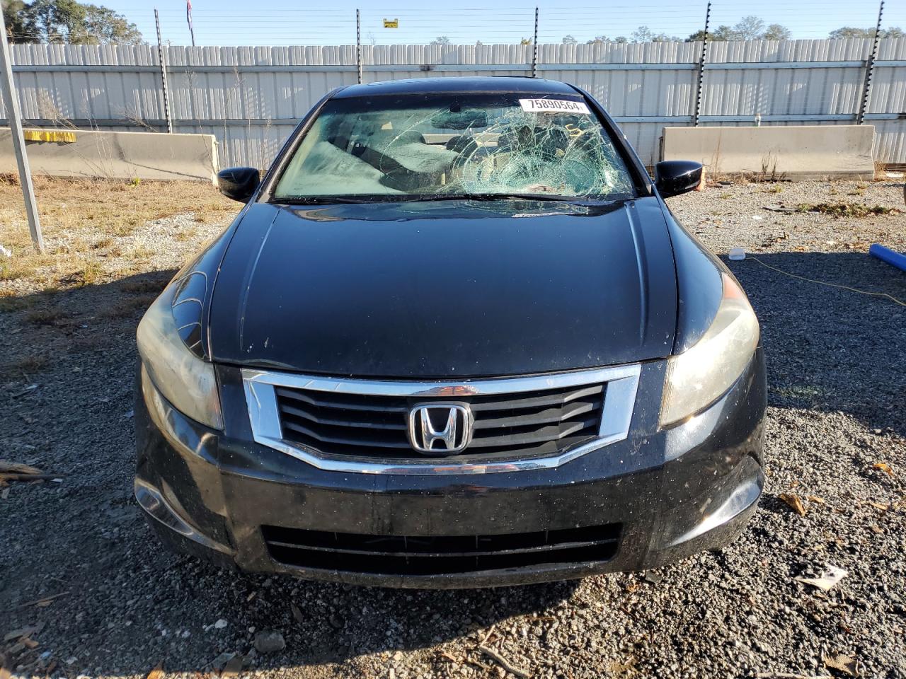 Lot #3002741808 2010 HONDA ACCORD EXL