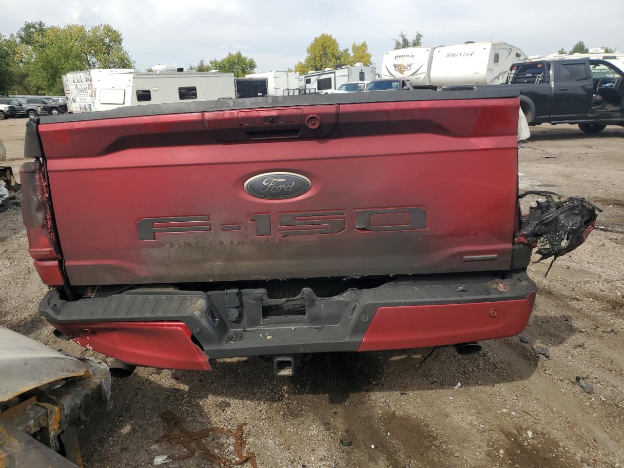 Lot #3024494522 2021 FORD F150 SUPER