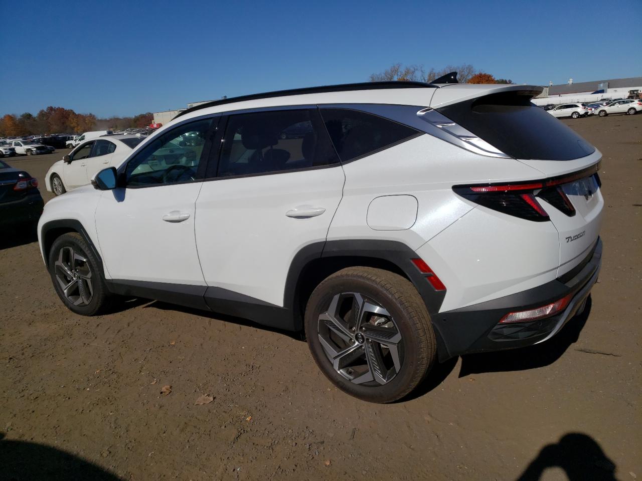 Lot #2988345775 2022 HYUNDAI TUCSON LIM